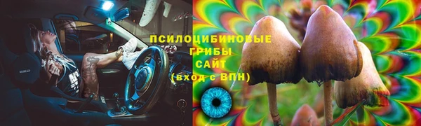 ПСИЛОЦИБИНОВЫЕ ГРИБЫ Иннополис