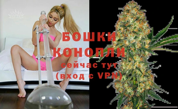 ПСИЛОЦИБИНОВЫЕ ГРИБЫ Иннополис
