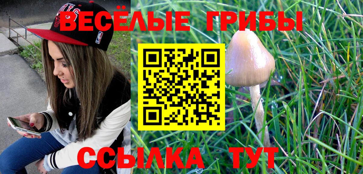 Туапсе  Псилоцибиновые грибы мицелий  Вход с VPN  Галлюциногенные грибы Psilocybe 