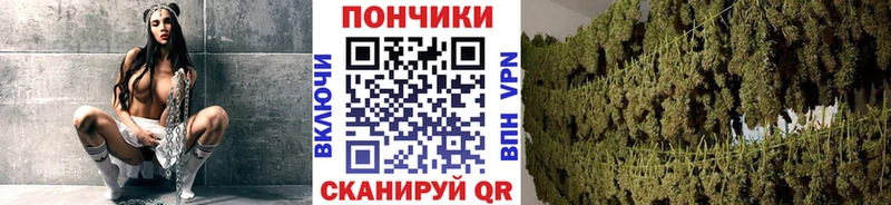 Канабис планчик  Туапсе 